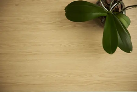 ALPA - Innovación y sostenibilidad en construcción